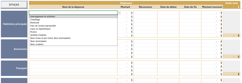 Onglet de dépenses détaillées - Outil VIA